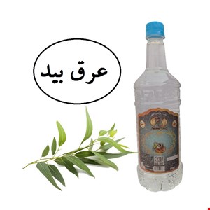 عرق بید