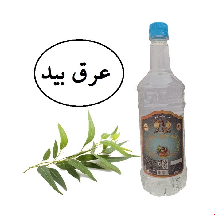 عرق بید