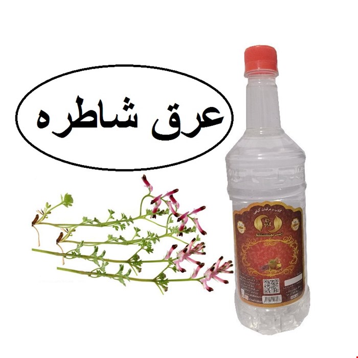 عرق شاطره