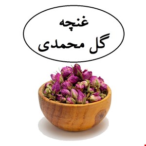 غنچه گل محمدی